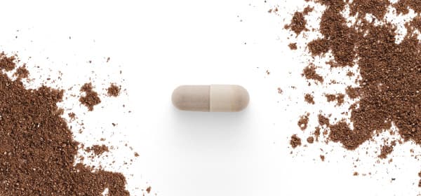 Adaptogenic Mushrooms